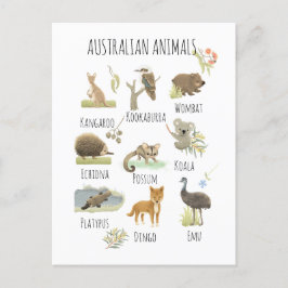 Australian Animals Vykort
