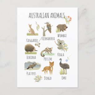 Australian Animals Vykort