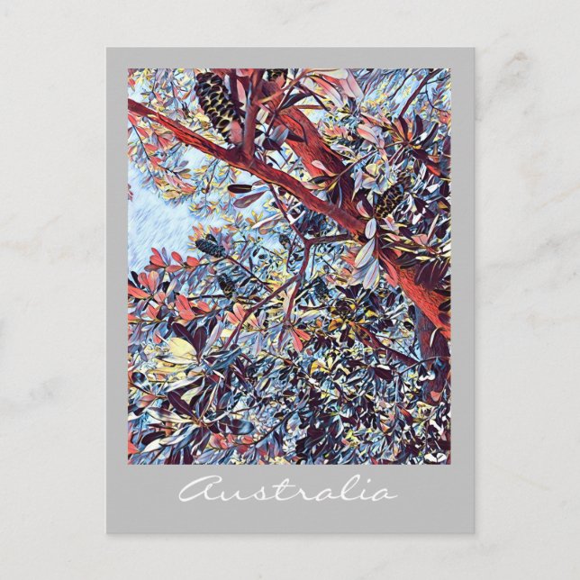 Australian Banksia träd inative plant Vykort (Framsida)