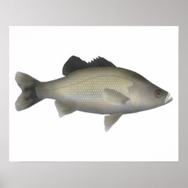 Australian Bass Poster