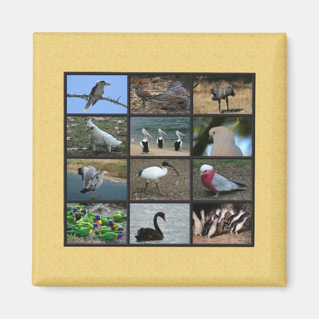 Australian Bird Photo Collage Magnet (Framsidan)