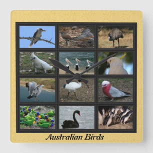 Australian Birds Fyrkantig Klocka
