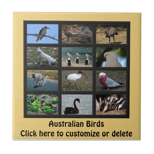 Australian Birds Kakelplatta (Framsidan)