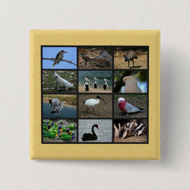 Australian Birds Knapp (Framsida)