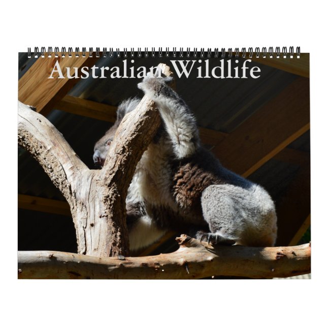 Australian Birds, Wildlife, Calendar Kalender (Omslag)