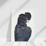Australian Black Cockatoo Illustration Poster<br><div class="desc">Black Cockatoo Poster Print,  som följer de senaste trenderna inom hemskretsen,  vilket är idealiskt för att förnya dina murar.</div>