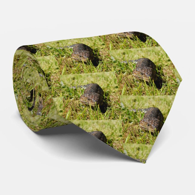 Australian Blue Tunga Stumpy Lizard Mönster Slips (Rullad)