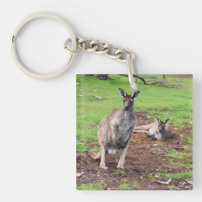Australian Buck Kangaroo (Framsidan)