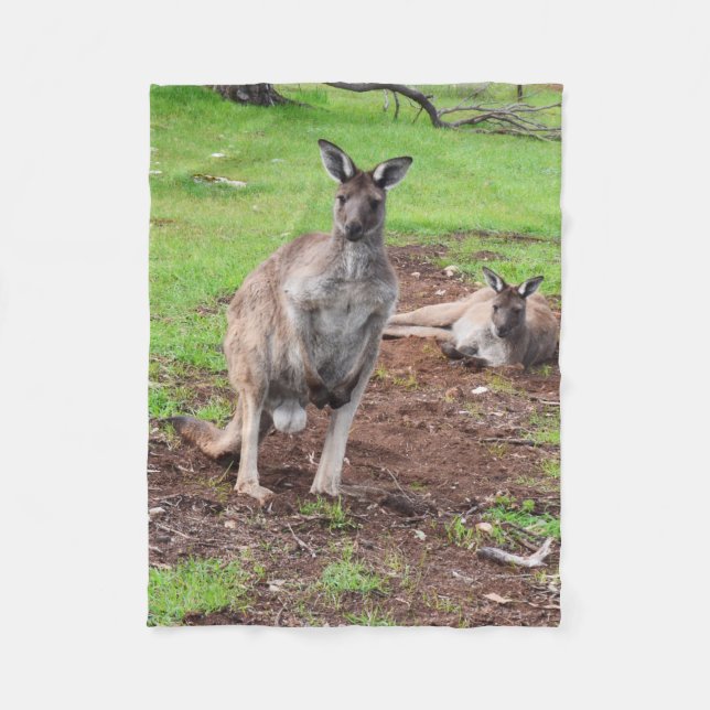 Australian Buck Kangaroo, Small Fleece Blanket. (Framsidan)