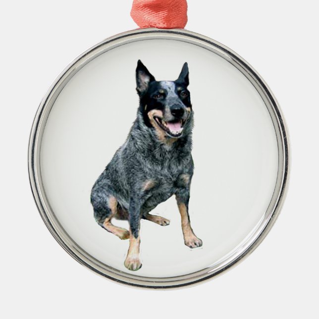 Australian Cattle Dog (B) Julgransprydnad Metall (Framsidan)
