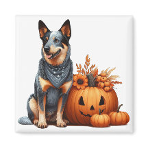Australian Cattle Dog bredvid en Jack-O-Lantern