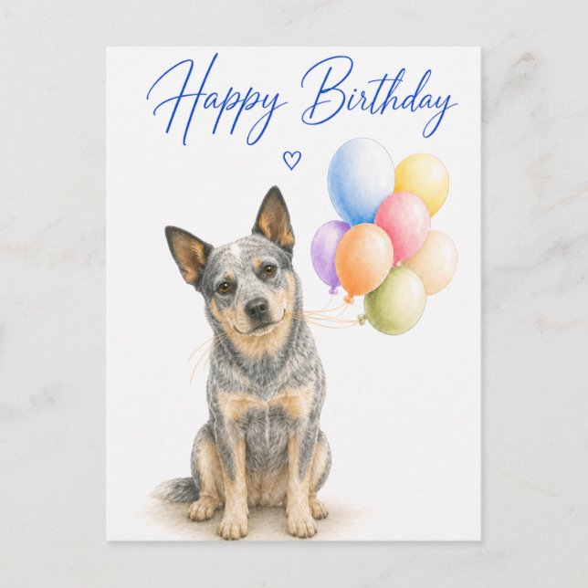 Australian Cattle Dog Födelsedag Vykort (Framsida)