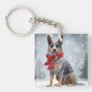 Australian Cattle Dog i snö jul