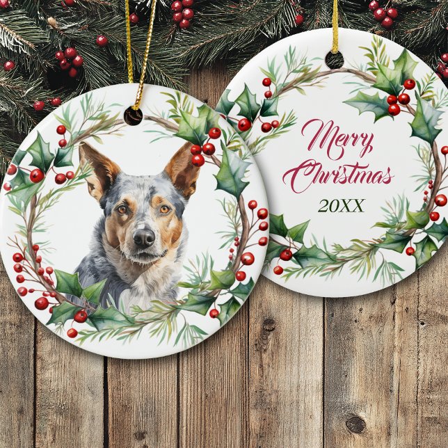Australian Cattle Dog in Holly Twig Wreath Julgransprydnad Keramik (Skapare uppladdad)