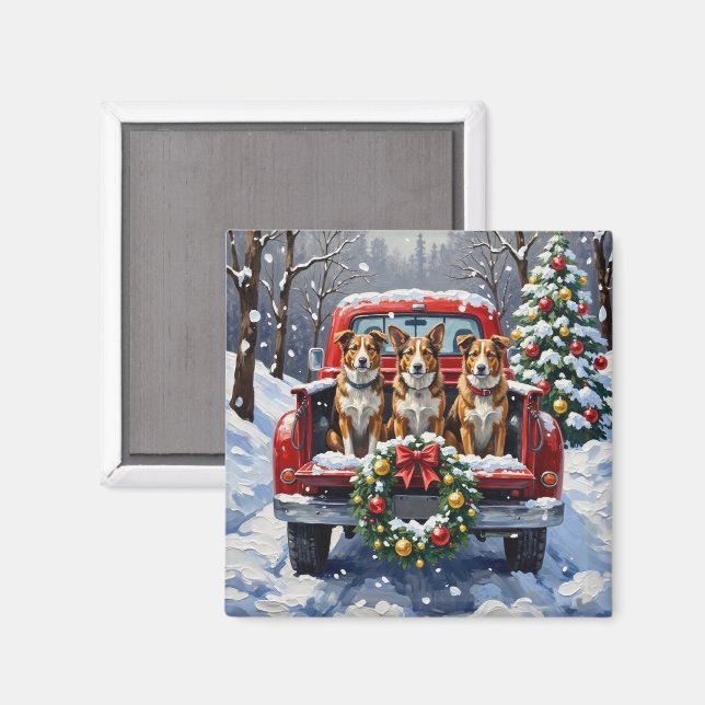 Australian Cattle Dog Jul Röd Lastbil Holiday Magnet (Front/Back)