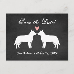 Australian Cattle Dogs Bröllop Save the Date Meddelande Vykort