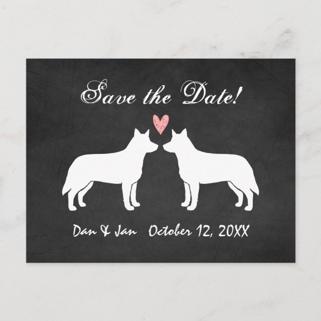 Australian Cattle Dogs Bröllop Save the Date Meddelande Vykort (Framsida)