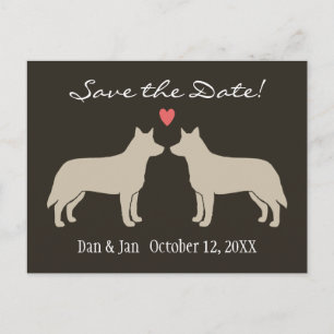 Australian Cattle Dogs Bröllop Save the Date Meddelande Vykort