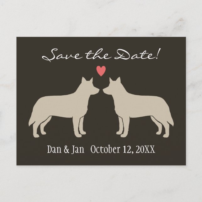 Australian Cattle Dogs Bröllop Save the Date Meddelande Vykort (Framsida)