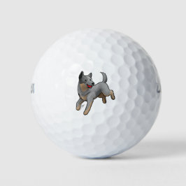 Australian Cattle Hund
