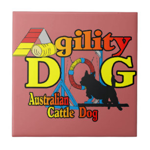 Australian Cattle Hund Agilitet Kakelplatta