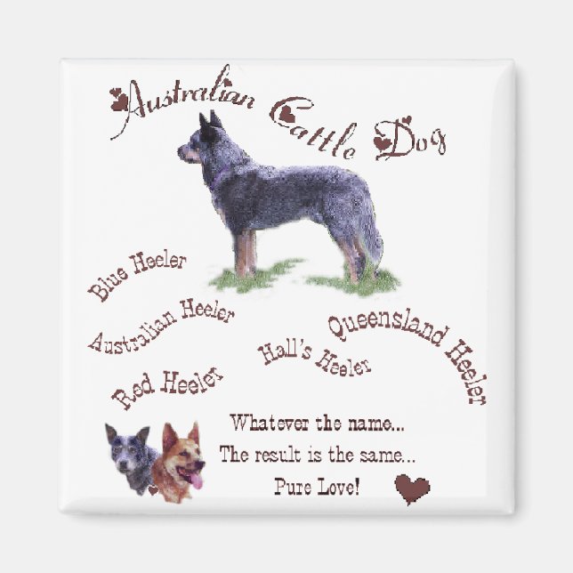 Australian Cattle Hund Art Gifts Magnet (Framsidan)