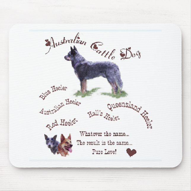 Australian Cattle Hund Art Gifts Musmatta (Framsidan)