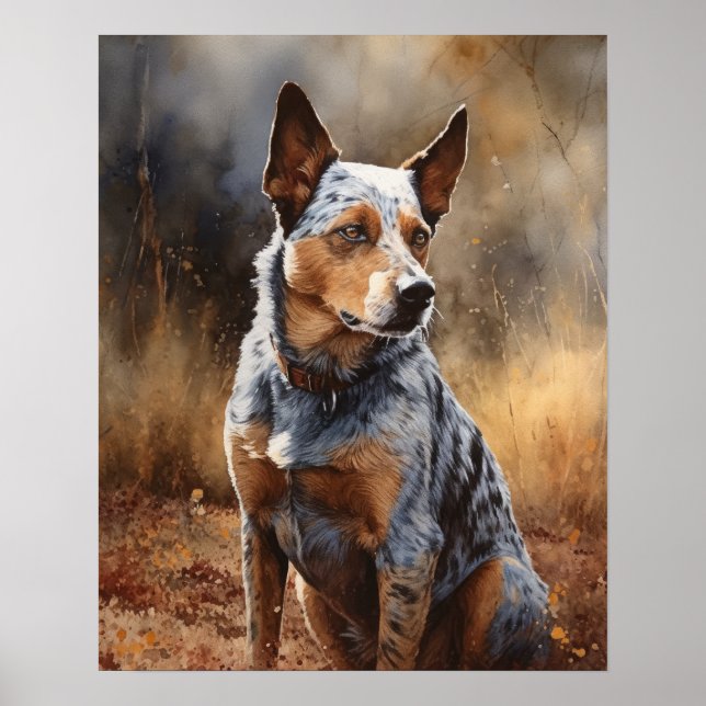 Australian Cattle Hund Art Print Poster (Framsidan)