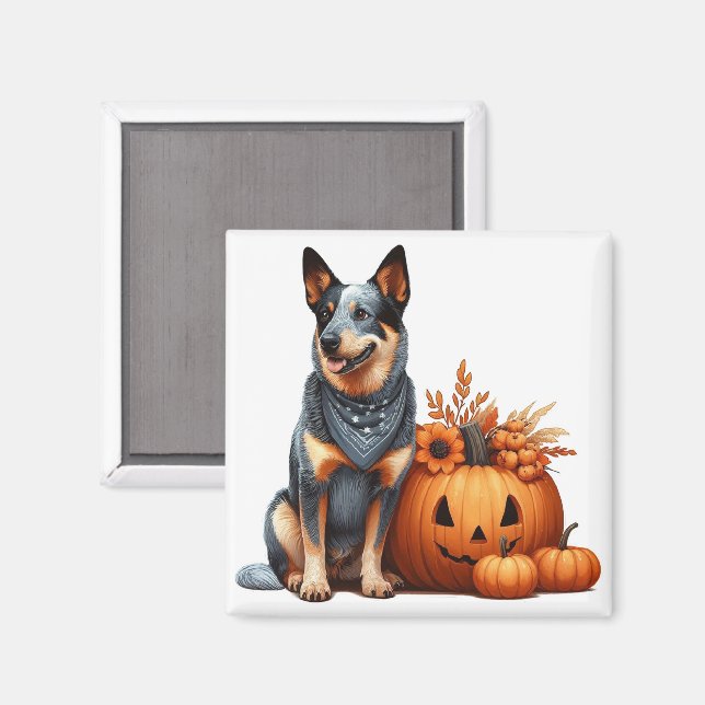 Australian Cattle Hund Beside a Jack-O-Lantern Magnet (Front/Back)