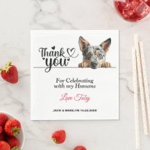 Australian Cattle Hund Bröllop Cocktail