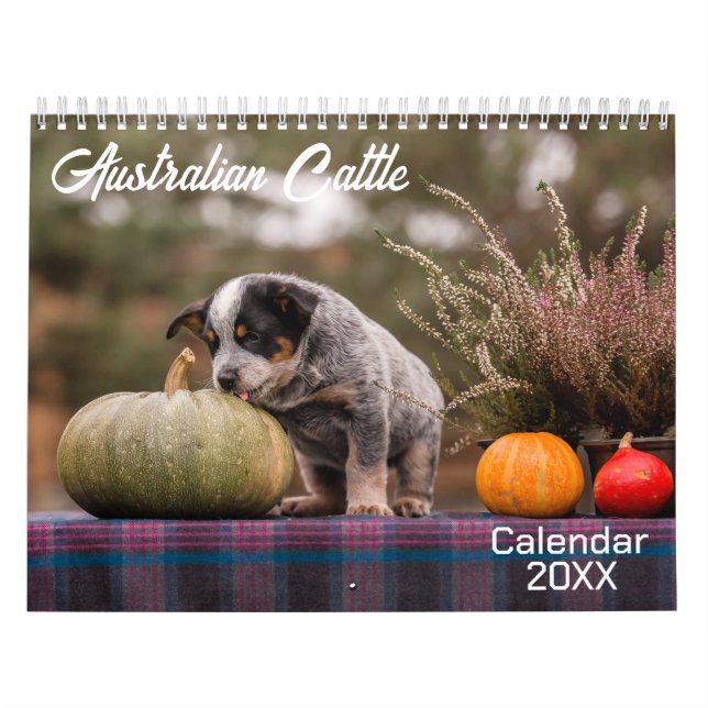Australian Cattle Hund Calendar 2026 Kalender (Omslag)