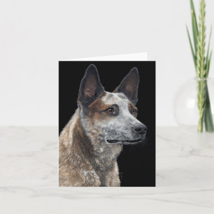 Australian Cattle Hund Card - "Jack" Kort