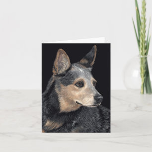 Australian Cattle Hund Card - "Quigley" Kort