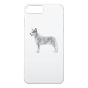Australian Cattle Hund