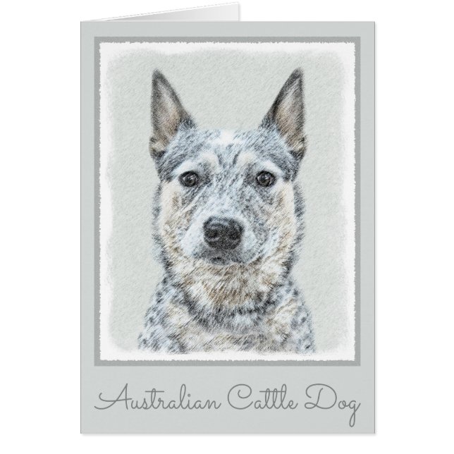Australian Cattle Hund - Cute Original Hund Art Hälsningskort (Framsidan)