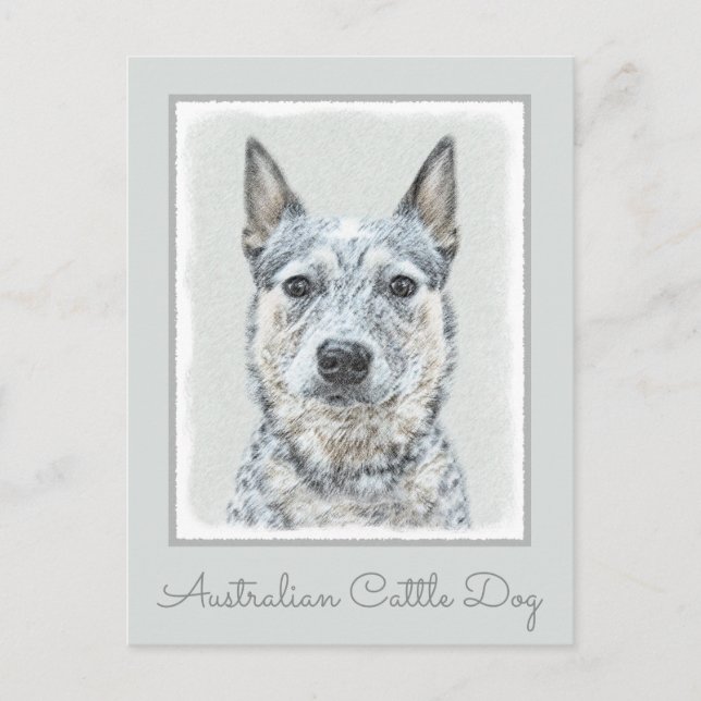 Australian Cattle Hund - Cute Original Hund Art Vykort (Framsida)