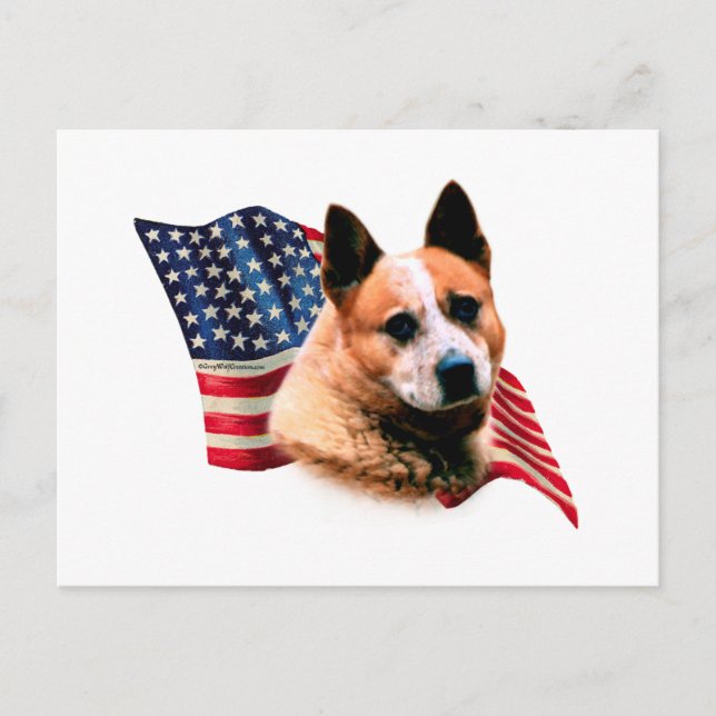 Australian Cattle Hund Flagga Vykort (Framsida)