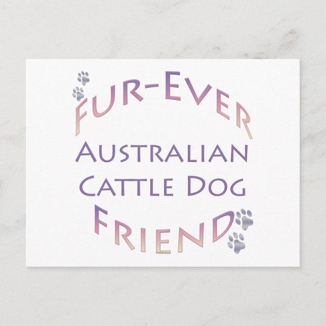 Australian Cattle Hund Furever Vykort (Framsida)