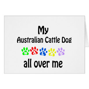 Australian Cattle Hund Hälsningskort