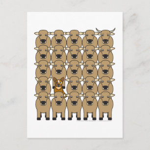 Australian Cattle Hund in Herd Vykort