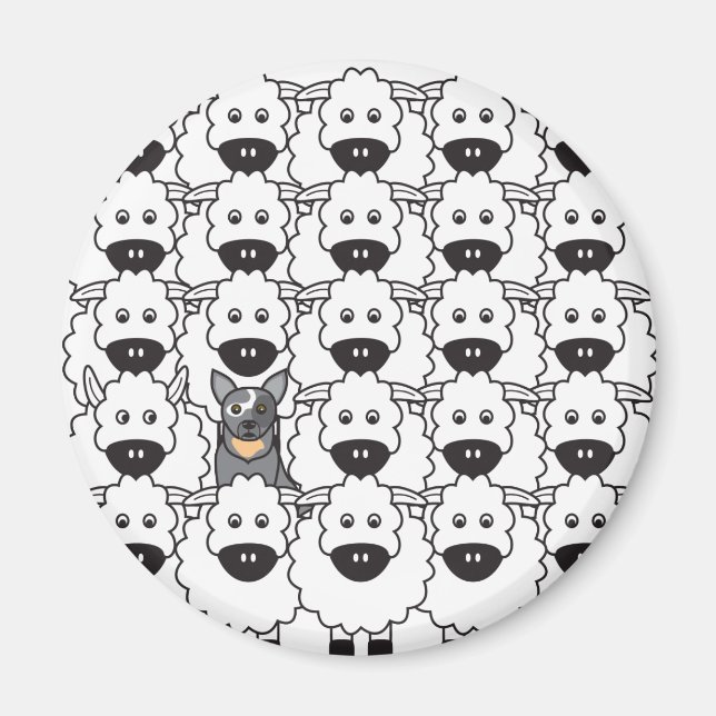 Australian Cattle Hund in Sheep Magnet (Framsidan)