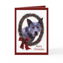 Australian Cattle Hund julgåvor