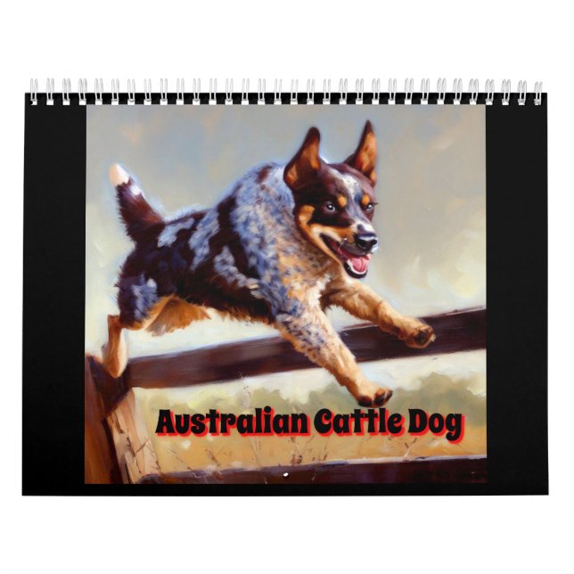Australian Cattle Hund Kalender (Omslag)