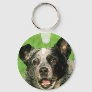 Australian Cattle Hund Keychain Nyckelring