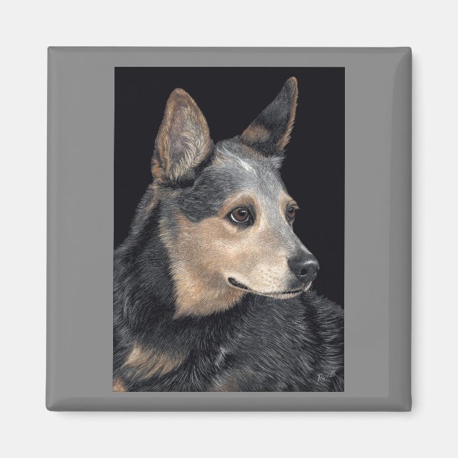 Australian Cattle Hund Magnet - "Quigley" (Framsidan)
