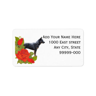 Australian Cattle Hund on Röd ros Address Label Adressetikett