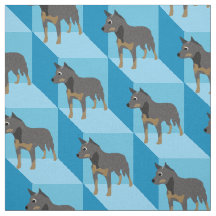 Australian Cattle Hund på Blue Cubes