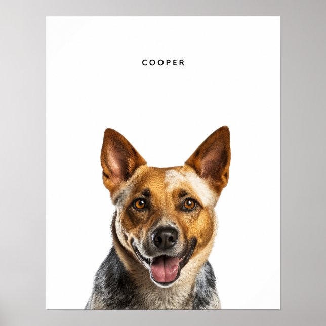 Australian Cattle Hund Personlig Print Poster (Framsidan)