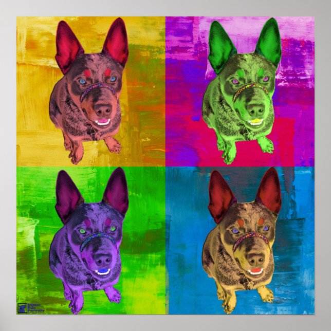 Australian Cattle Hund Pop Art Poster (Framsidan)