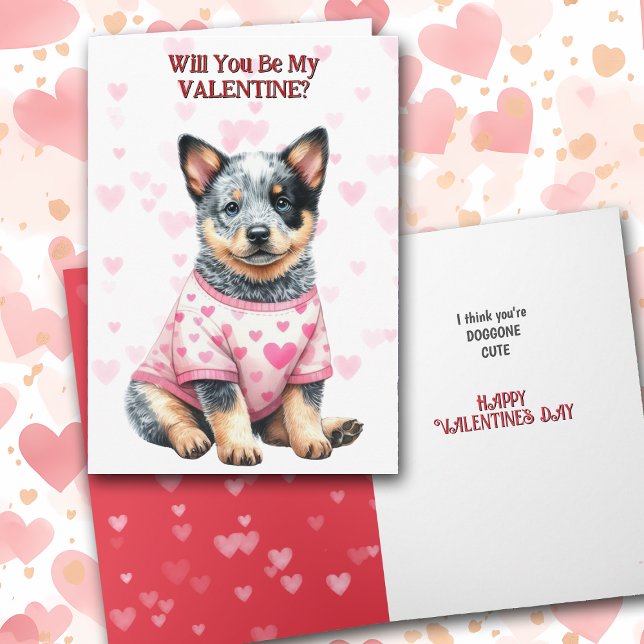 Australian Cattle Hund Puppy på Sweater Valentine Helgkort (Skapare uppladdad)